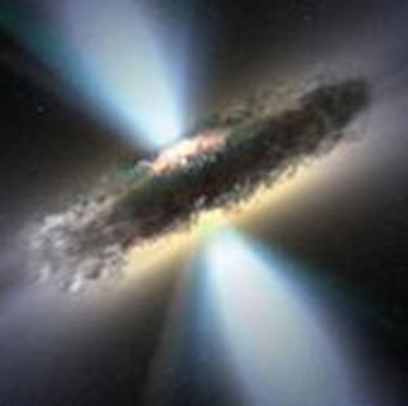 Meet your Posher, Kyle - Picture 1 of 1